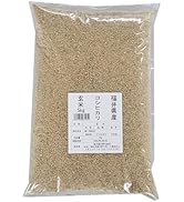 Amazon.co.jp: 玄米 福井県産コシヒカリ 令和7年産 (20kg) : 食品